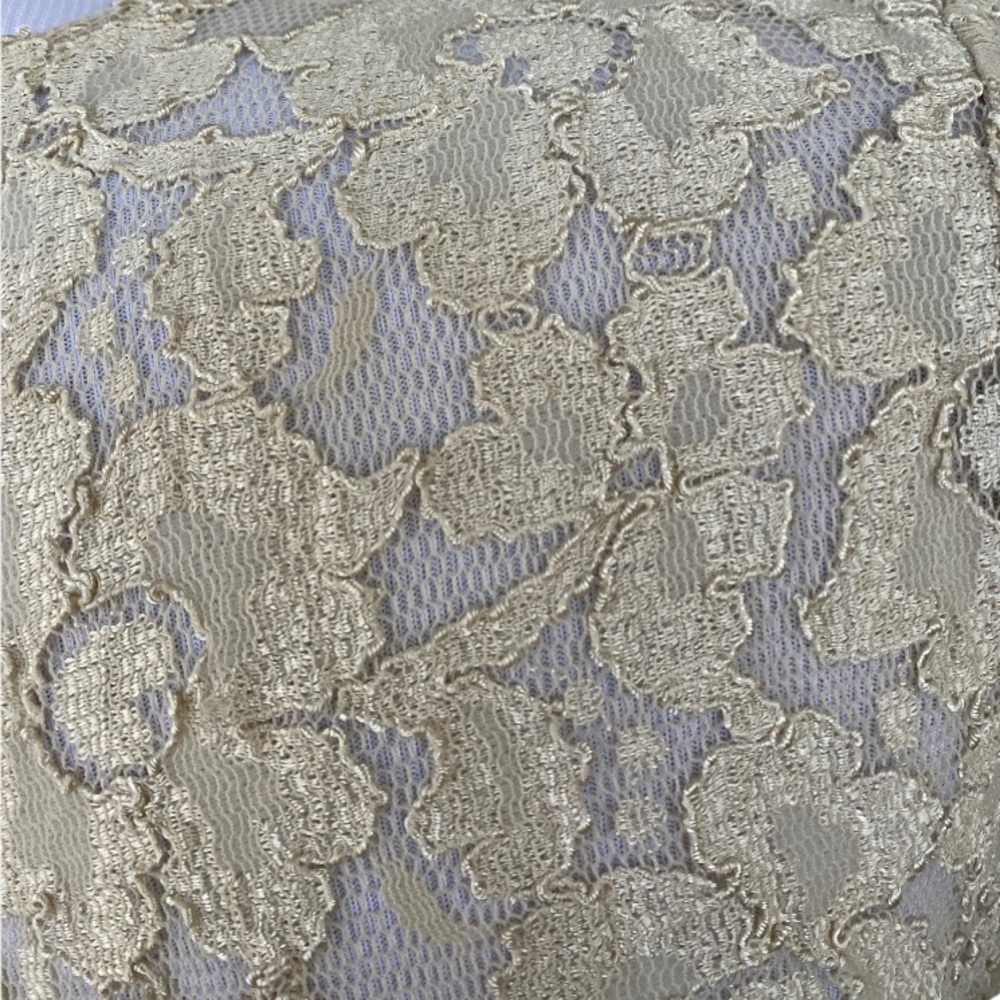 Victoria's Secret Vintage Gold Label Sheer Floral Lace Top Cream Size Medium - Picture 4 of 6